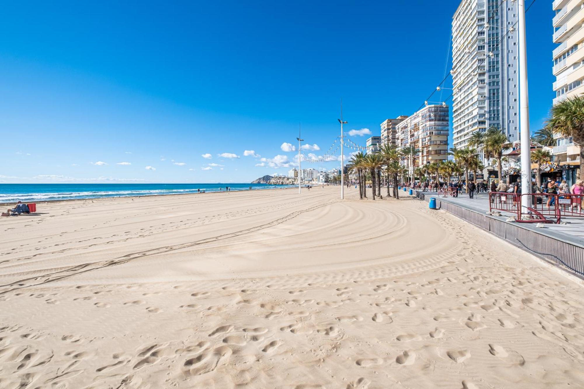 Donna II 7-32 Apartment Levante Beach-Old Town Benidorm Eksteriør billede